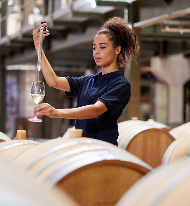 Landolt Weine Weinlabor Landolt Weine Weinlabor