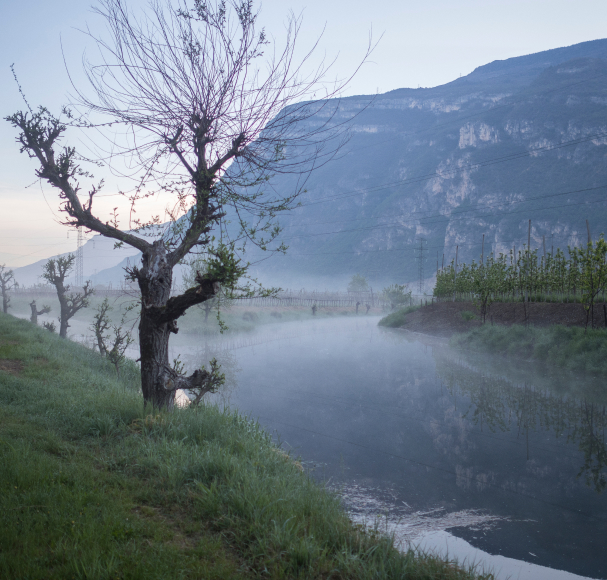 Landolt – Am Fluss Landolt Weine - Am Fluss