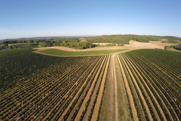 Vineyards Chateau Lamartine