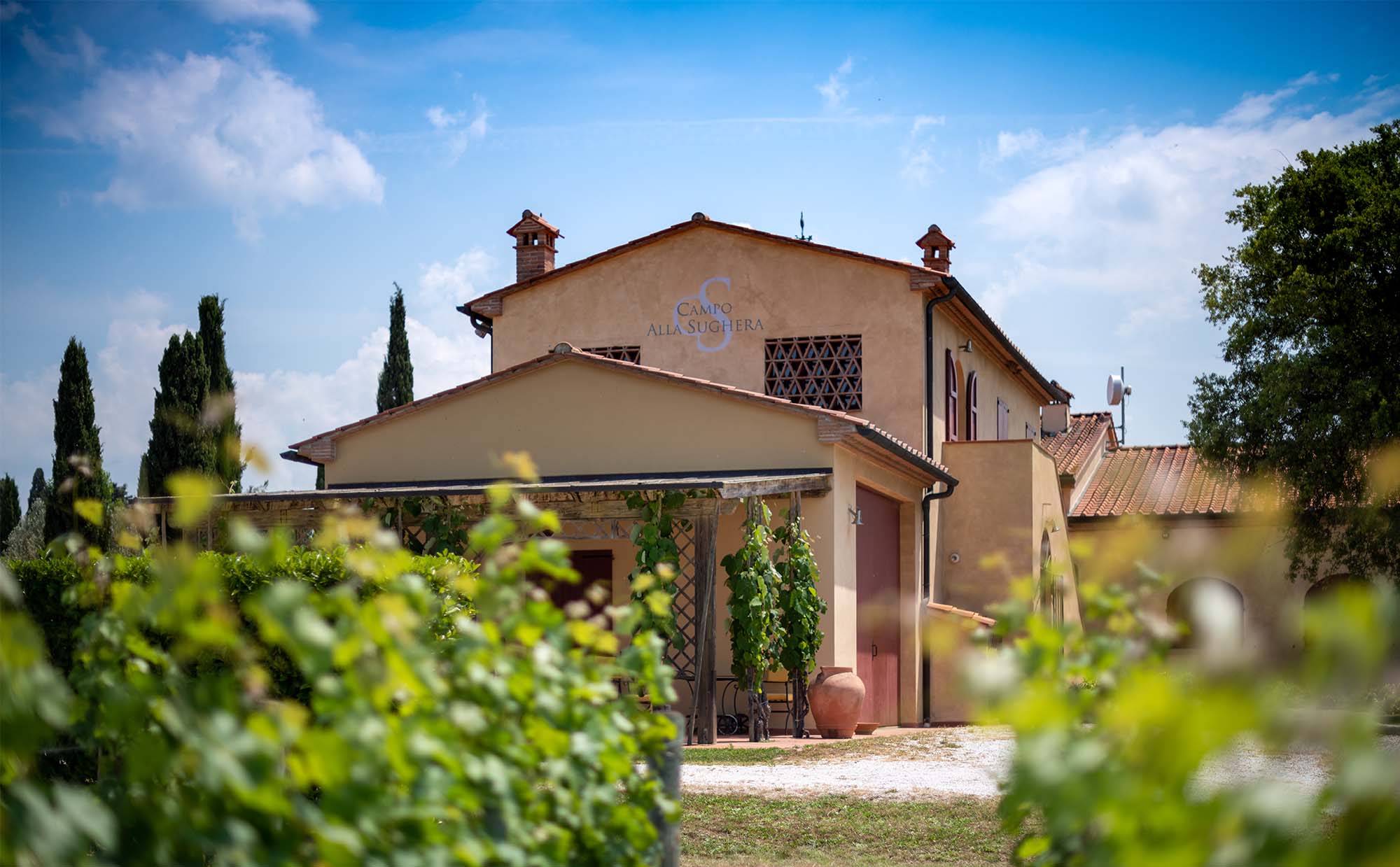 Landolt Weine - Campo alla Sughera