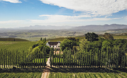 Landolt Weine - Ioana Winefarm