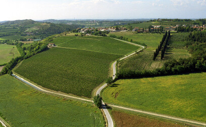 Landolt Weine - Monte del Fra