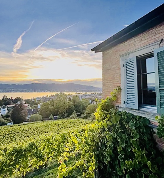 landolt_weingut