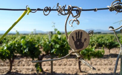Landolt Weine - Weingut Paco Garcia
