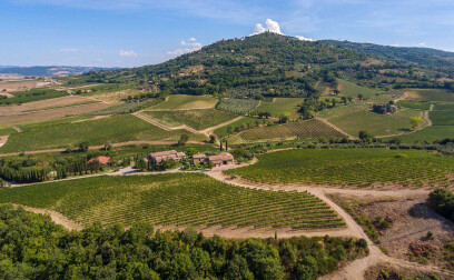 Landolt Weine - Weingut Capanna