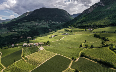 Landolt Weine - Cantina Kurtatsch