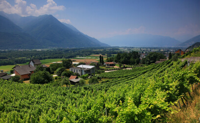 Landolt Weine - Cantina il Cavaliere