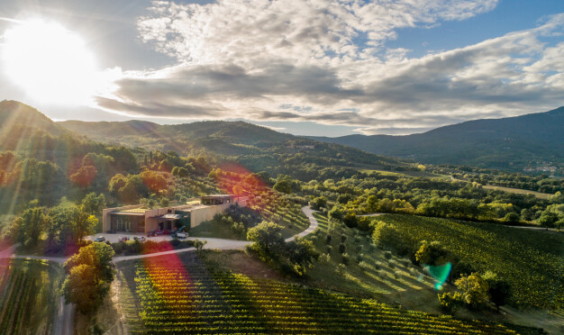 Weingut Podernuovo Landolt Weine - Weingut Podernuovo