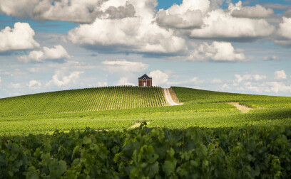 Landolt Weine - Weingut Vazart - Champagne