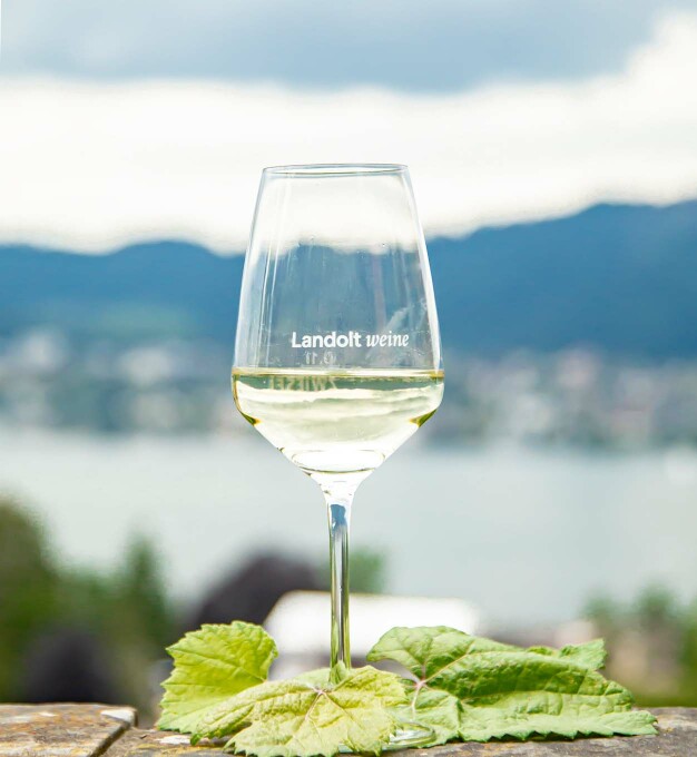 Landolt Weine - Ein Glas Wein mit herrlicher Aussicht