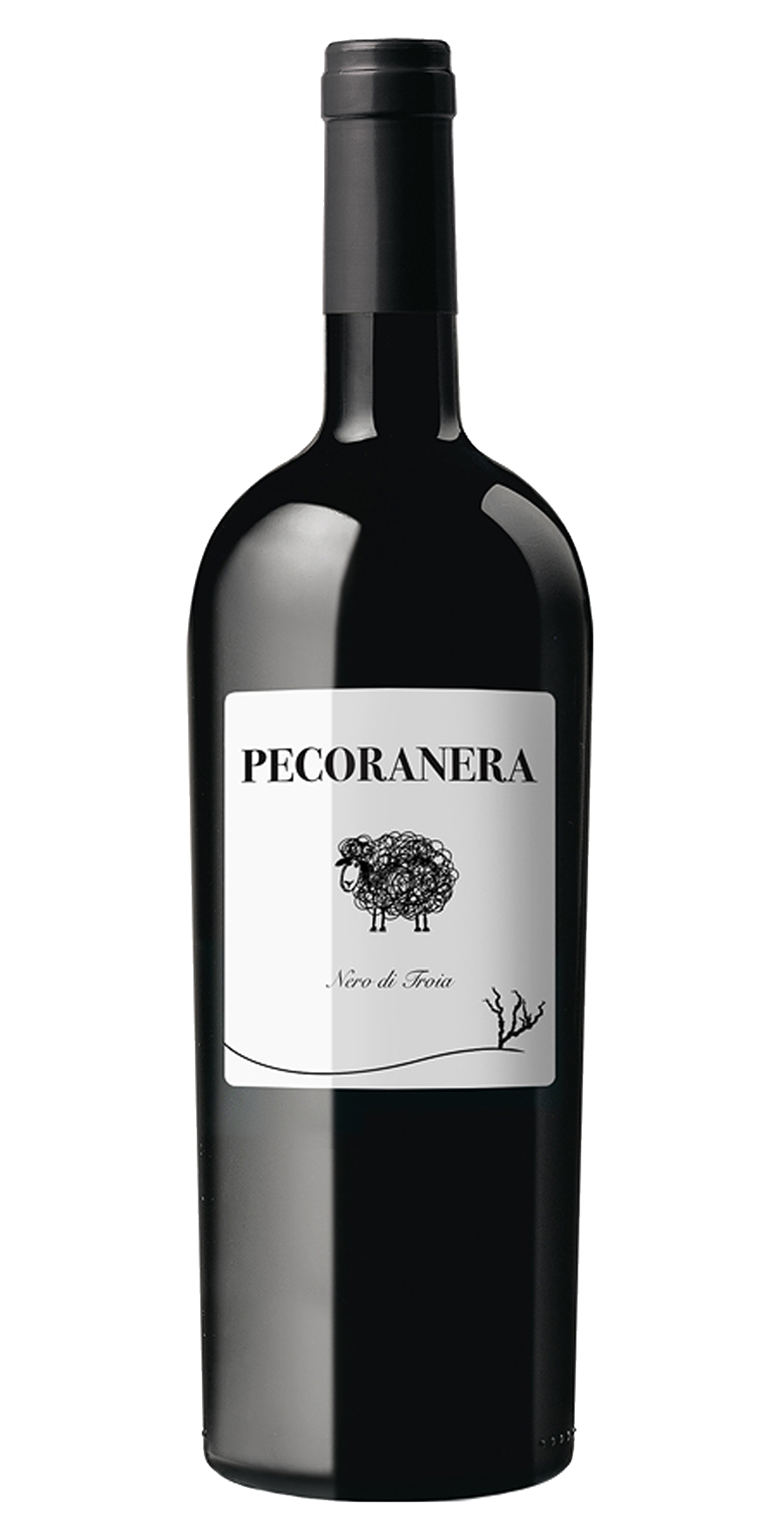 Pecoranera Rosso Puglia IGP Pecoranera Rosso Puglia IGP