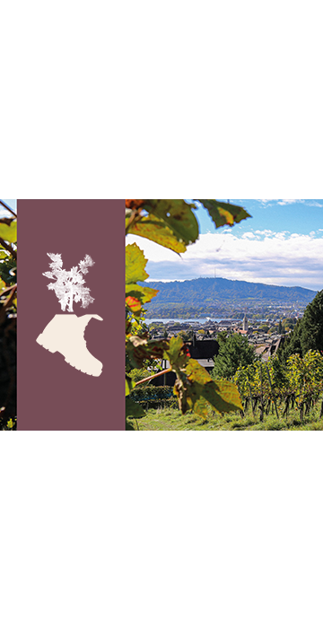 Gutschein Weinwanderung