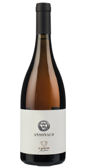 Landolt - Anfora Ansonaco IGT Toscano