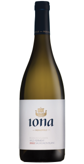 Landolt - Wild Ferment Sauvignon Blanc Elgin Highlands WO