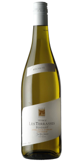 Landolt - Fendant Vétroz Les Terrasses AOC Valais