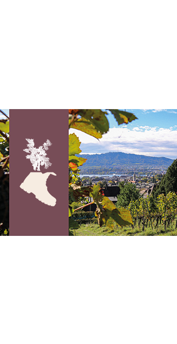 Landolt - Gutschein Weinwanderung