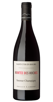 Landolt - Montée des Roches Saumur Champigny AOP